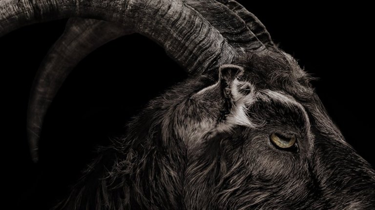 black-phillip